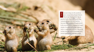 Living Wild - Classic Edition: Prairie Dogs