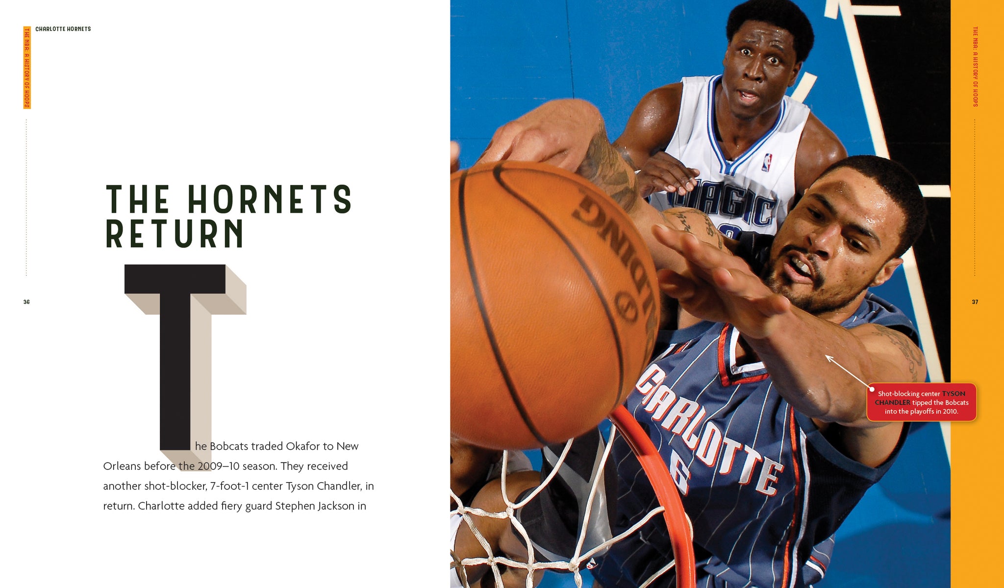 Charlotte Hornets – The Creative Company - Main Image