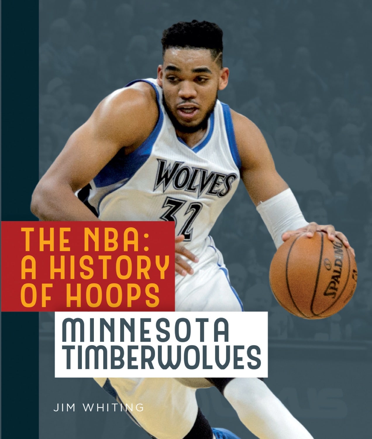 The NBA: A History of Hoops: Minnesota Timberwolves