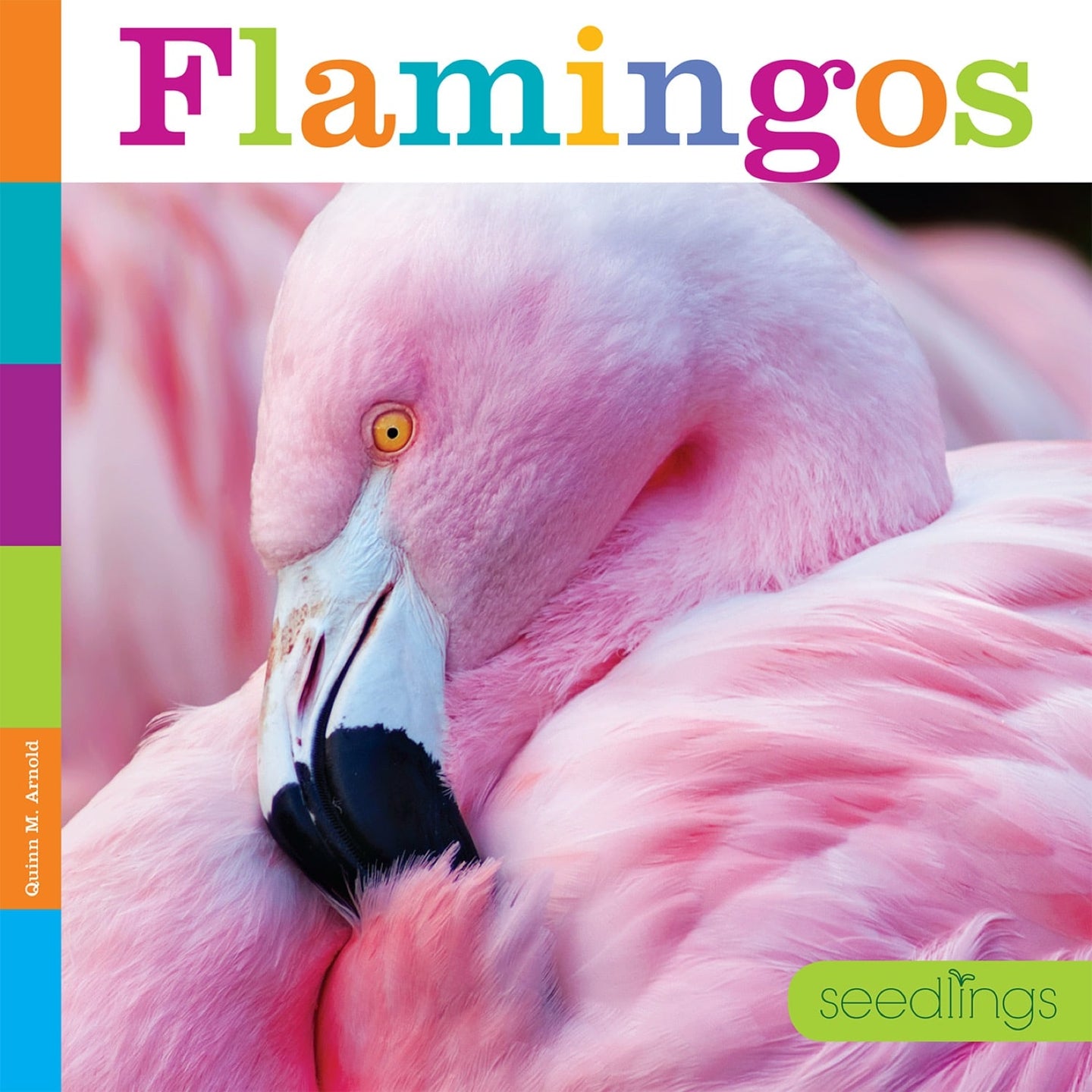 Seedlings: Flamingos