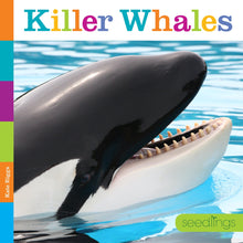 Laden Sie das Bild in den Galerie-Viewer, Sämlinge: Killerwale
