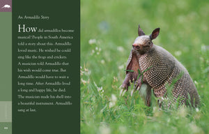 Amazing Animals (2014): Gürteltiere