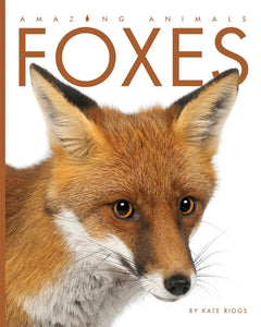 Amazing Animals (2014): Foxes
