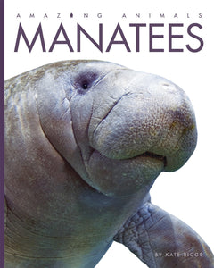 Amazing Animals (2014): Manatees