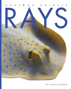 Amazing Animals (2014): Rays
