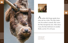 Laden Sie das Bild in den Galerie-Viewer, Amazing Animals (2014): Faultiere
