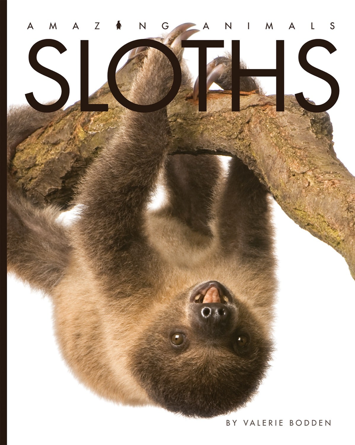 Amazing Animals (2014): Sloths