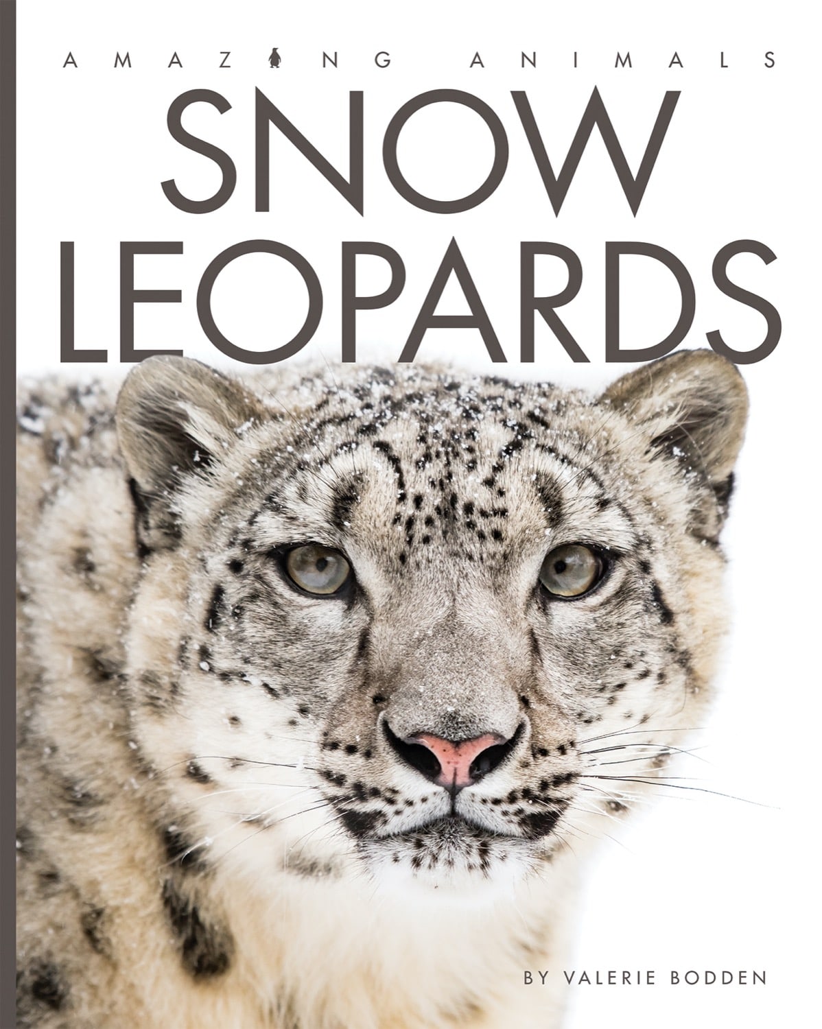 Amazing Animals(2014): Snow Leopards