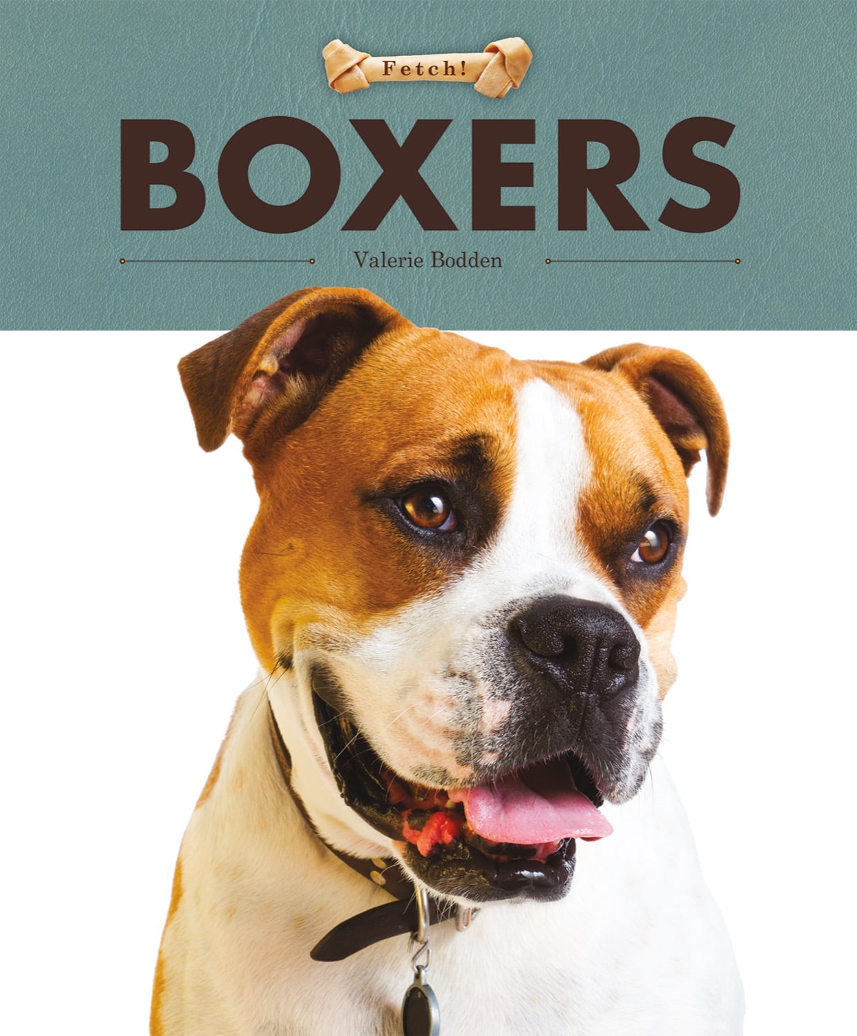 Fetch!: Boxers