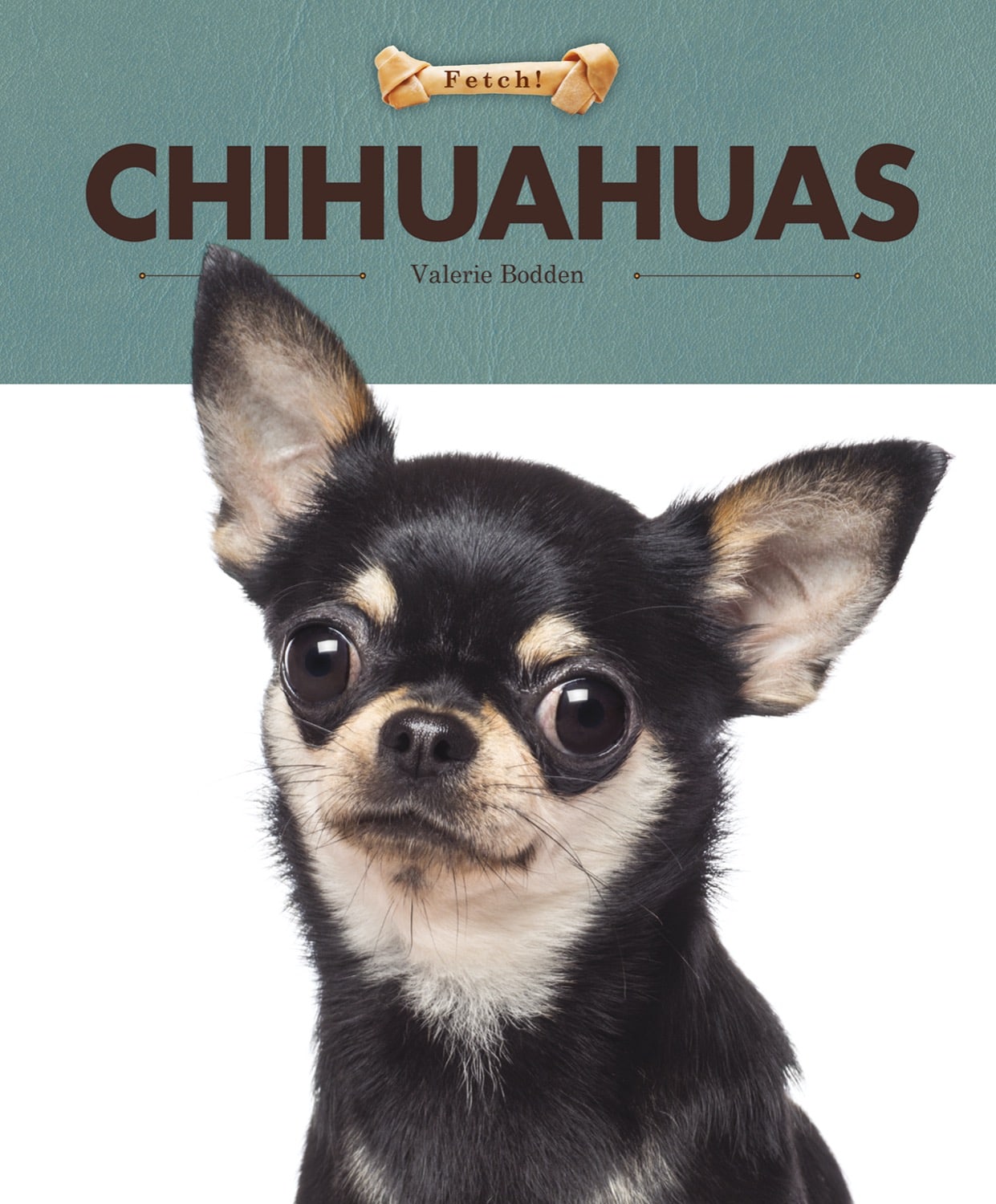 Fetch!: Chihuahuas