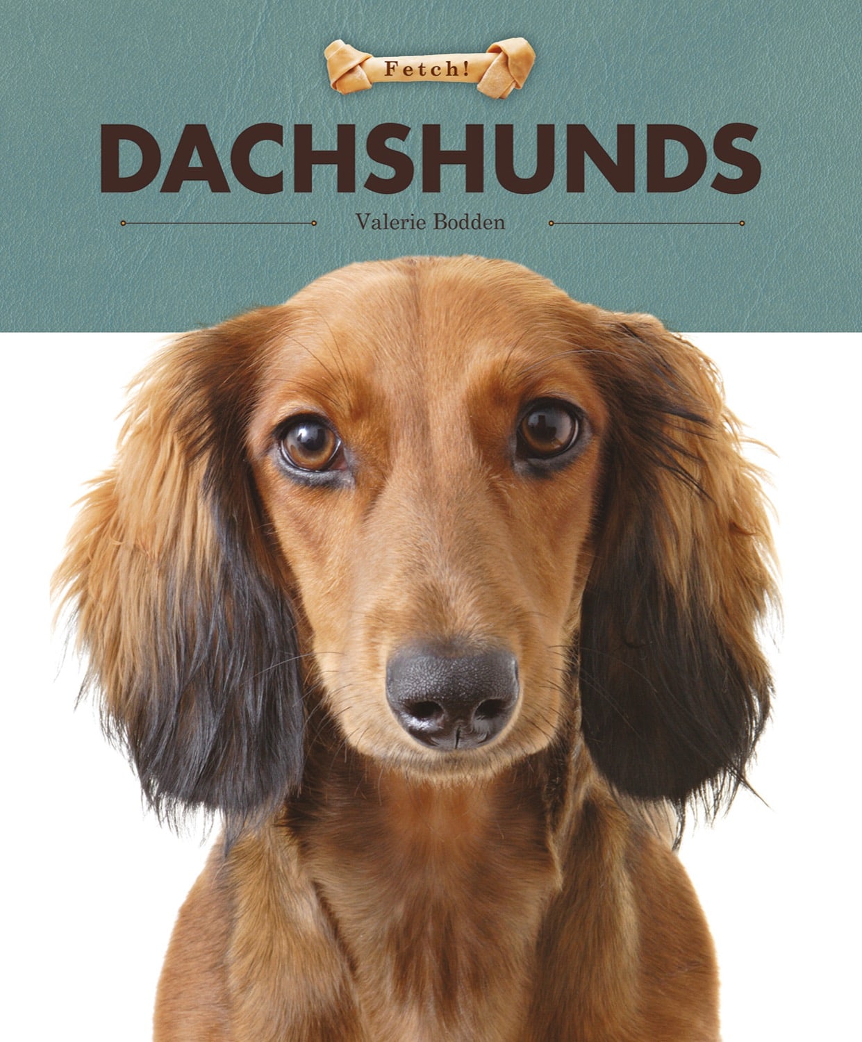 Fetch!: Dachshunds