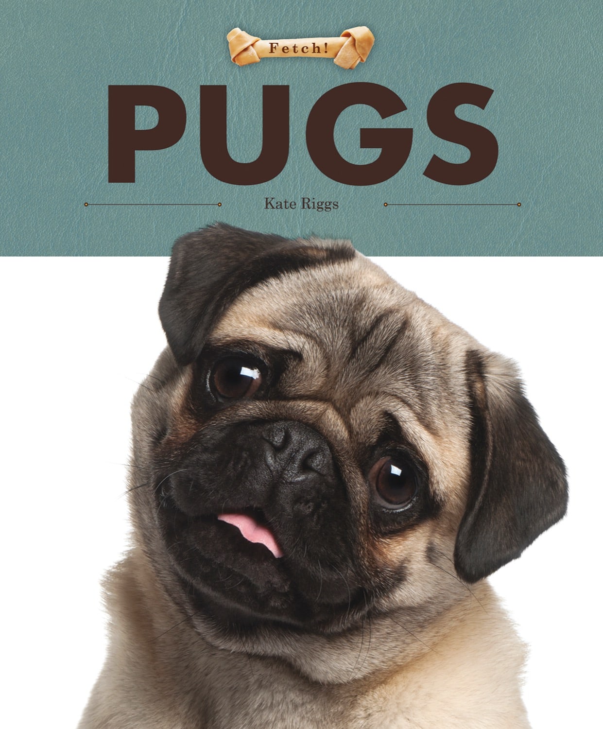 Fetch!: Pugs