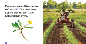 Seedlings: Cultivators