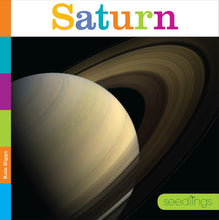 Laden Sie das Bild in den Galerie-Viewer, Sämlinge: Saturn
