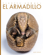 Laden Sie das Bild in den Galerie-Viewer, Planeta animal - Classic Edition: El armadillo
