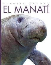Laden Sie das Bild in den Galerie-Viewer, Planeta animal - Classic Edition: El manatí

