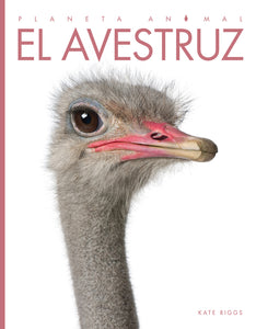 Planeta animal - Classic Edition: El avestruz