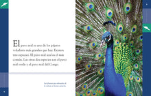 Laden Sie das Bild in den Galerie-Viewer, Planeta animal - Classic Edition: El pavo real
