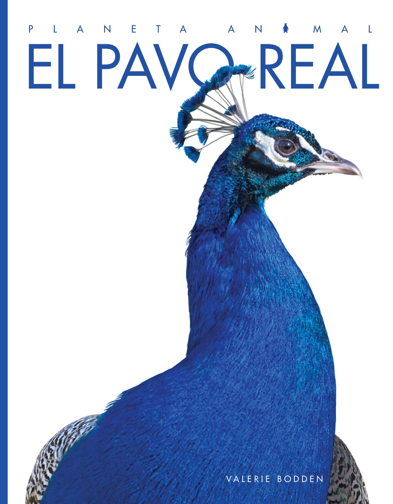 Planeta animal - Classic Edition: El pavo real