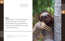 Laden Sie das Bild in den Galerie-Viewer, Planeta animal - Classic Edition: El perezoso
