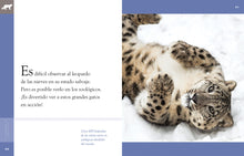 Laden Sie das Bild in den Galerie-Viewer, Planeta animal - Classic Edition: El Leopardo de las Nieves
