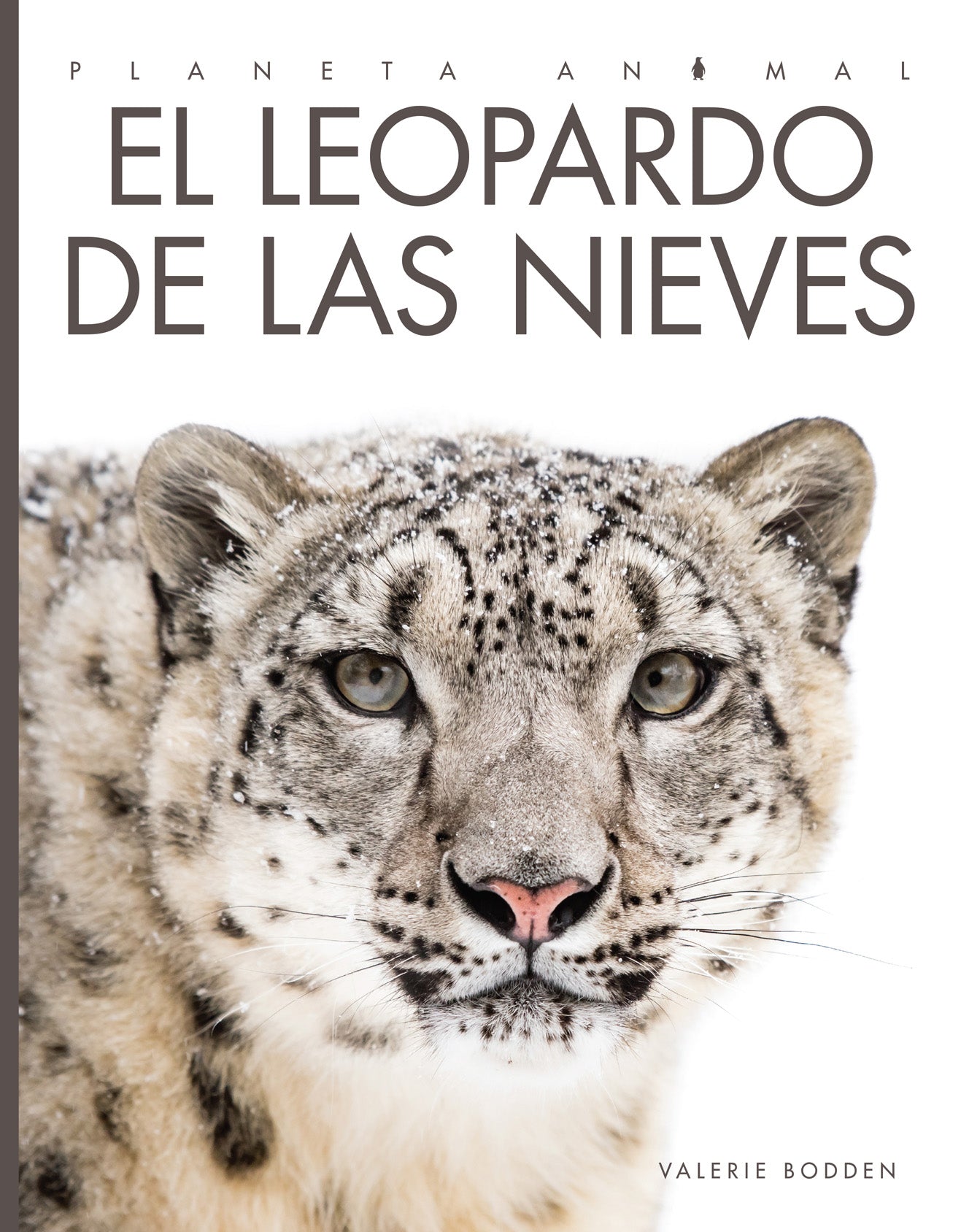 Planeta animal - Classic Edition: El leopardo de las nieves
