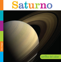 Laden Sie das Bild in den Galerie-Viewer, Säbelsamen: Saturno
