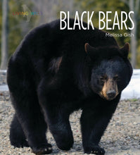 Laden Sie das Bild in den Galerie-Viewer, Living Wild – Classic Edition: Schwarzbären
