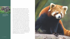 Living Wild - Classic Edition: Red Pandas