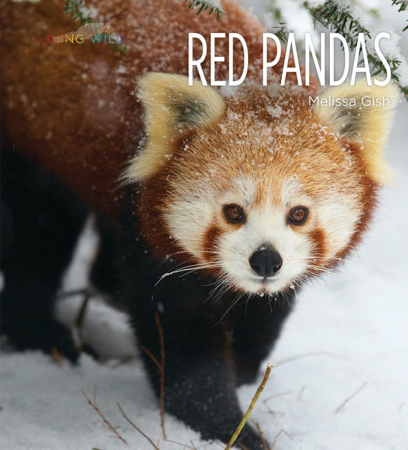 Living Wild - Classic Edition: Red Pandas