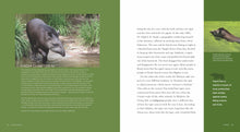 Laden Sie das Bild in den Galerie-Viewer, Living Wild - Classic Edition: Tapire
