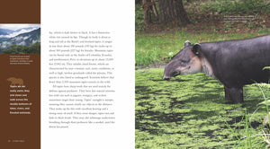 Living Wild - Classic Edition: Tapirs