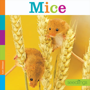 Seedlings: Mice