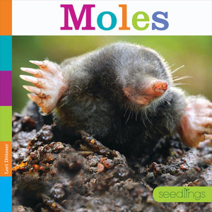 Seedlings: Moles