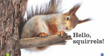 Laden Sie das Bild in den Galerie-Viewer, Sämlinge: Eichhörnchen
