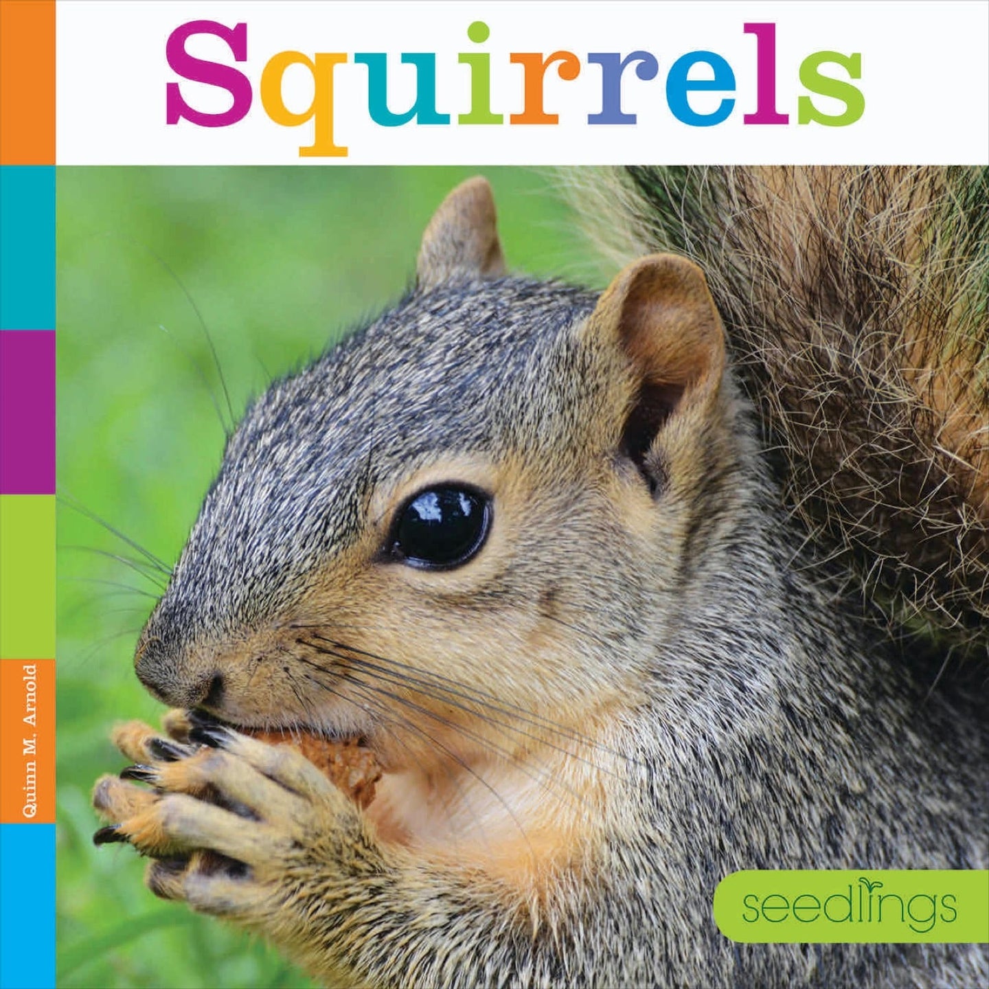 Seedlings: Squirrels
