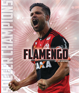 Fußballmeister: Flamengo