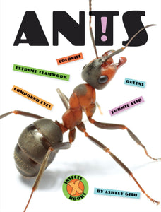 X-Books: Insects: Ants