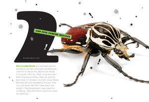 X-Books: Insects: Beetles