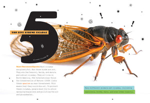 X-Books: Insects: Cicadas