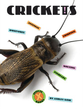 Laden Sie das Bild in den Galerie-Viewer, X-Books: Insekten: Grillen
