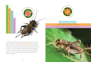 X-Books: Insects: Crickets