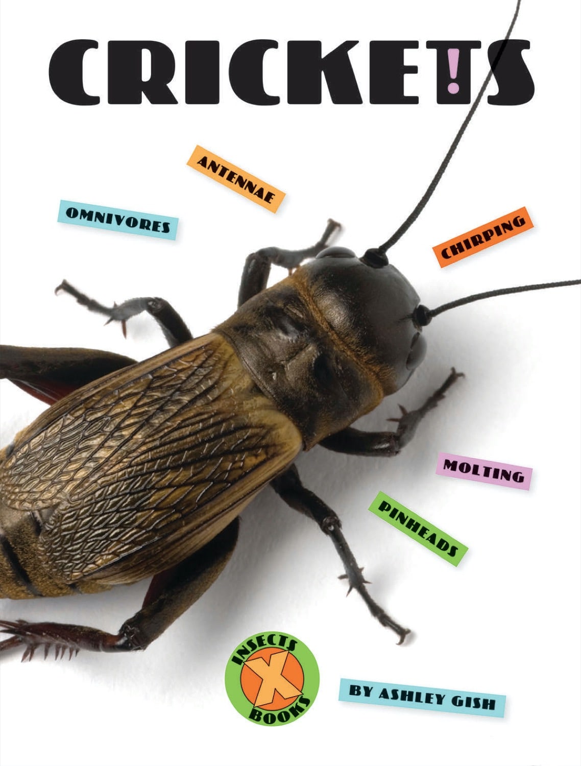 X-Books: Insects: Crickets