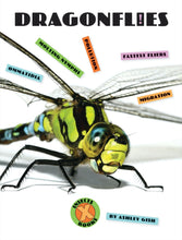 Laden Sie das Bild in den Galerie-Viewer, X-Books: Insekten: Libellen
