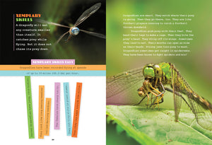 X-Books: Insekten: Libellen