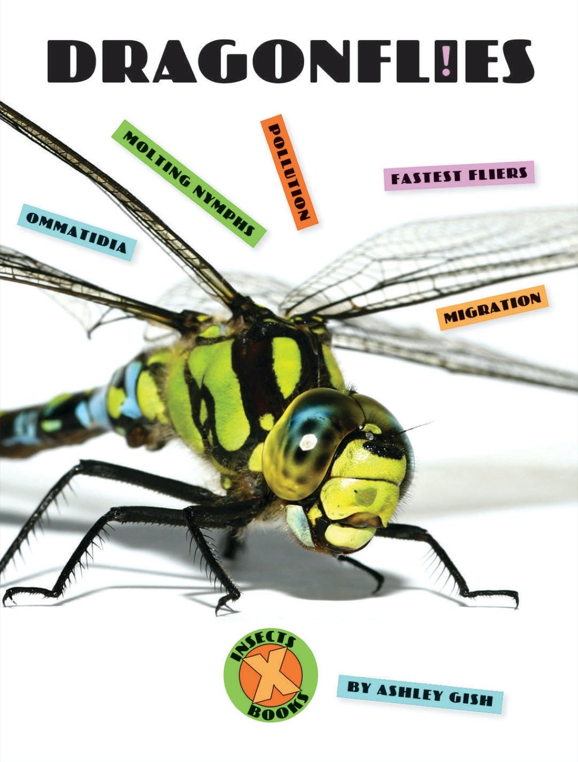 X-Books: Insects: Dragonflies