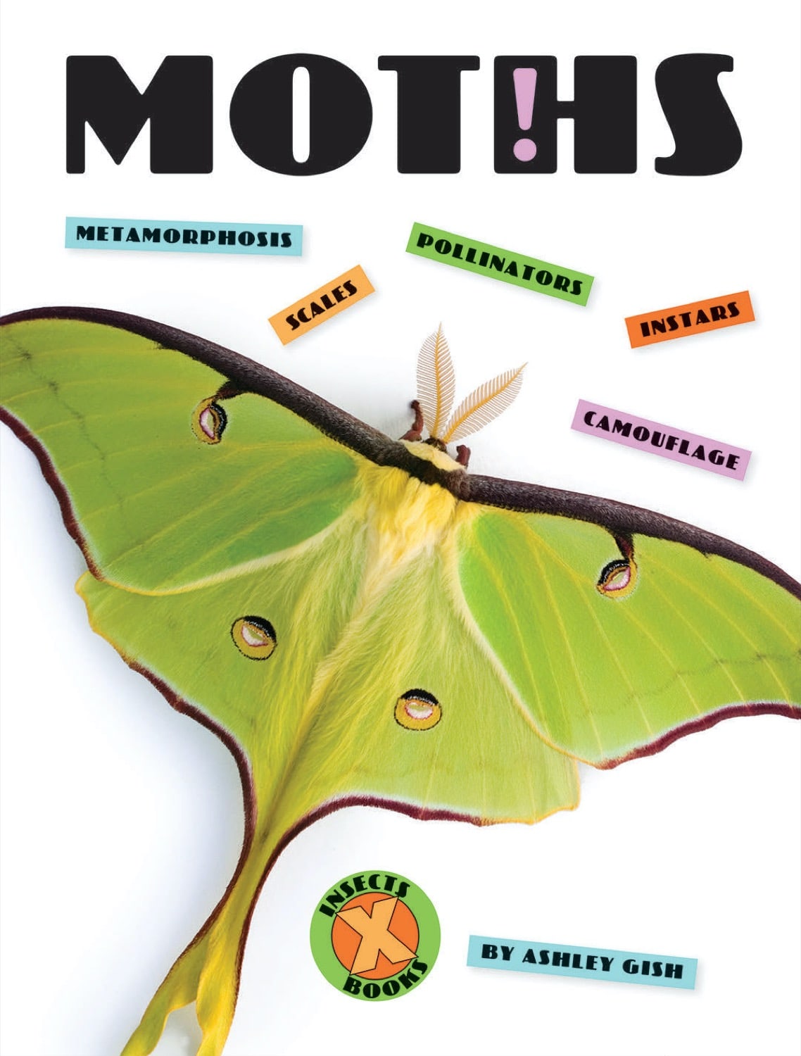 X-Books: Insekten: Motten