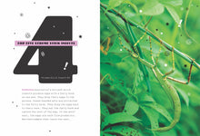 Laden Sie das Bild in den Galerie-Viewer, X-Books: Insekten: Stabheuschrecken
