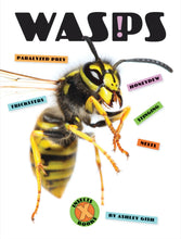 Laden Sie das Bild in den Galerie-Viewer, X-Books: Insekten: Wespen
