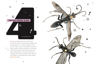 X-Books: Insects: Wasps